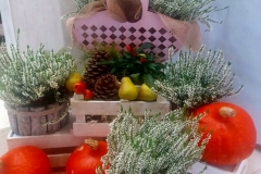 70931453_1572506079558721_8673179330303492096_n