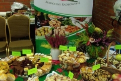 71690627_1572506069558722_6391840745896017920_n