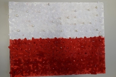 95642368_2255664684728746_5708460223027478528_n