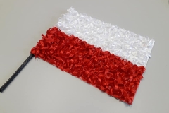 95809532_2255664908062057_393778789429018624_n