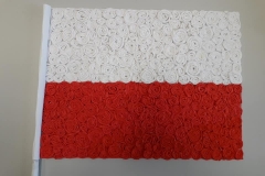 96220338_2255664778062070_2984461074775932928_n