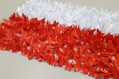 96234043_2255664814728733_3669168179898220544_n