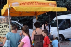 24 Letnie Granie_ Wojnicz 2019