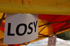 33 Letnie Granie_ Wojnicz 2019