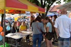 4 Letnie Granie_ Wojnicz 2019