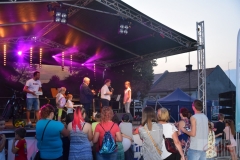 53 Letnie Granie_ Wojnicz 2019