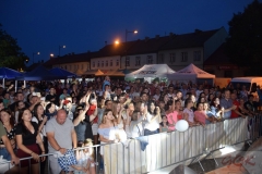 78 Letnie Granie_ Wojnicz 2019