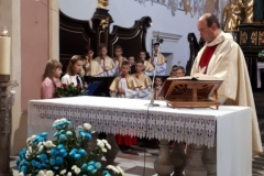 73482595_409640216625154_413432310667411456_n