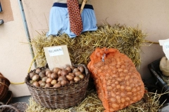 80093879_1652984011510927_7881827134954536960_o