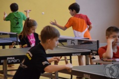 11-2NiepodległościowyTS