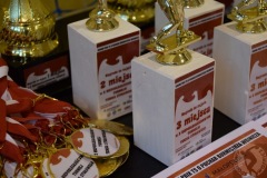 4-2NiepodległościowyTS