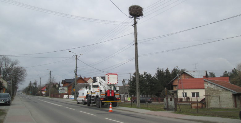 Energetycy uprzątnęli kolejne bocianie gniazdo.