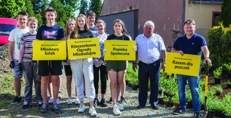 Koło kina „Wawel” posadzili rośliny miododajne