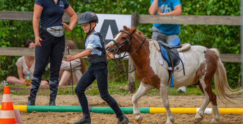 Za nami kolejne zawody jeździeckie
