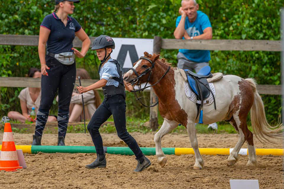 Za nami kolejne zawody jeździeckie