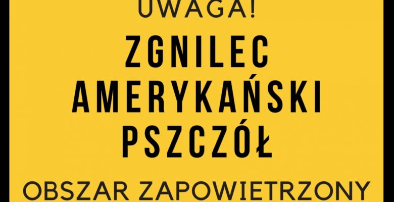 Zgnilec Amerykański Pszczół