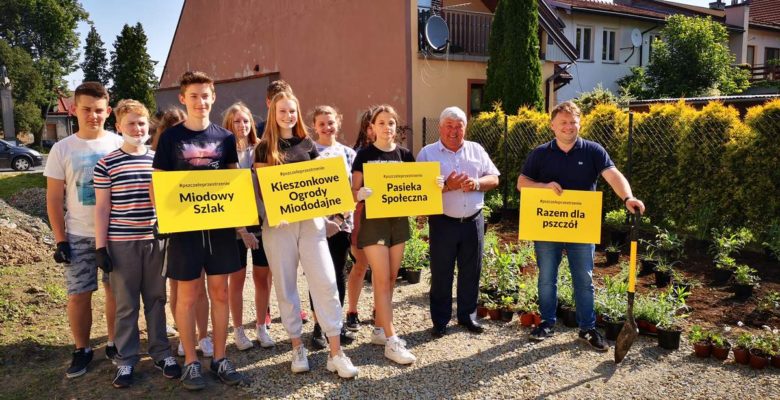 Wojnicz chroni pszczoły