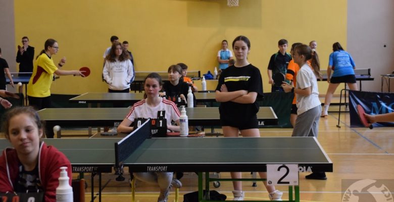 Indywidualny Tenis Stołowy Dziewcząt i Chłopców w ramach Igrzysk Młodzieży Szkolnej
