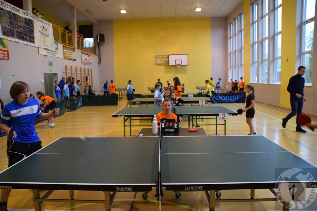 Półfinał powiatowy w Indywidualnym Tenisie Stołowym Dziewcząt i Chłopców