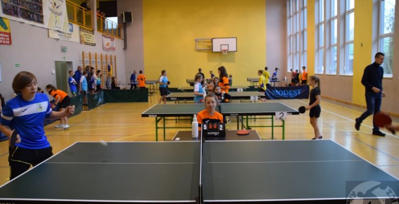 Półfinał powiatowy w Indywidualnym Tenisie Stołowym Dziewcząt i Chłopców