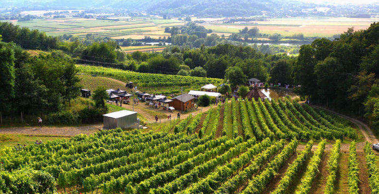 Wianki na Winnicy w magicznej atmosferze