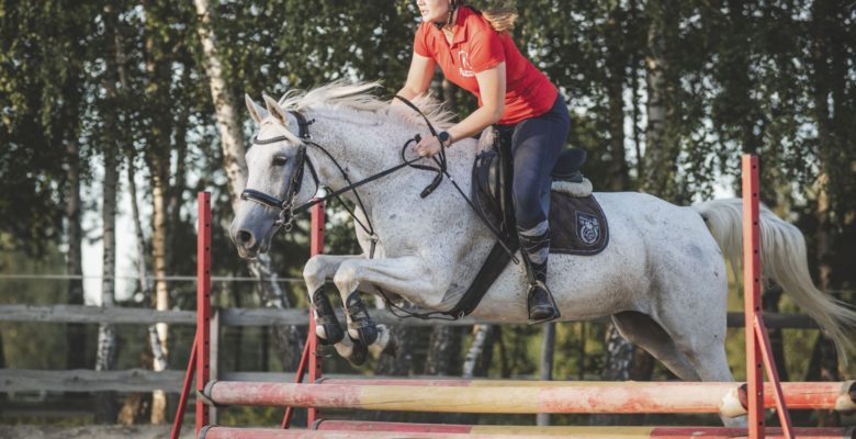 Kolejne zawody jeździeckie za nami