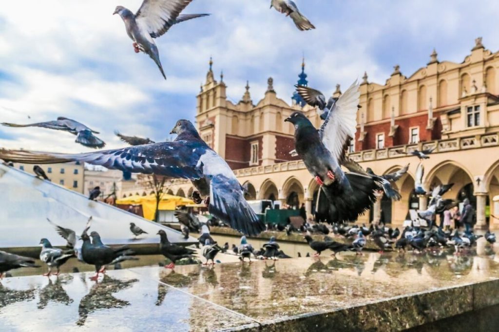 SENIORZY Z WIZYTĄ U JANA PAWŁA II