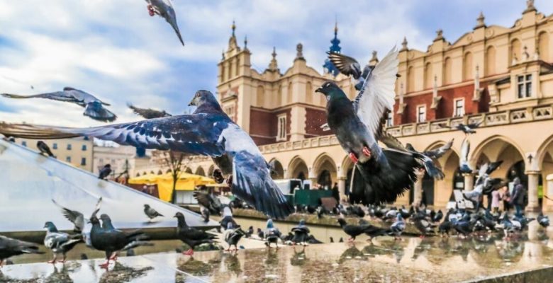 SENIORZY Z WIZYTĄ U JANA PAWŁA II